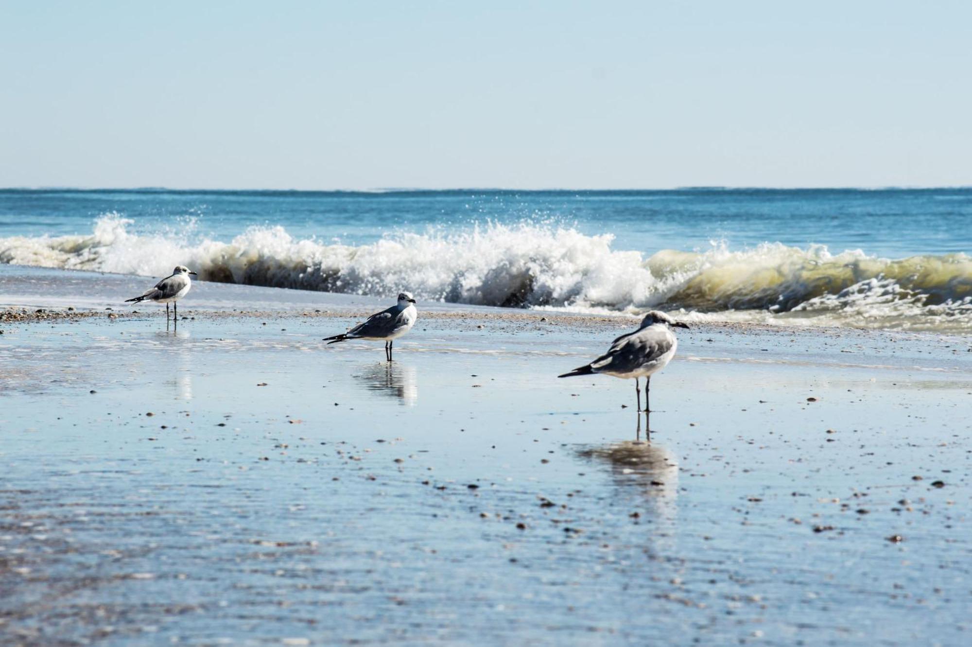 גולף שורז The Beach Is Only Steps Away מראה חיצוני תמונה